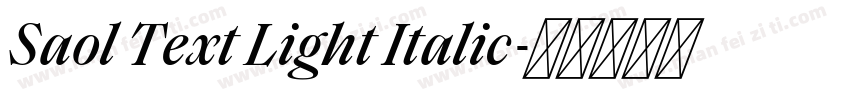 Saol Text Light Italic字体转换
